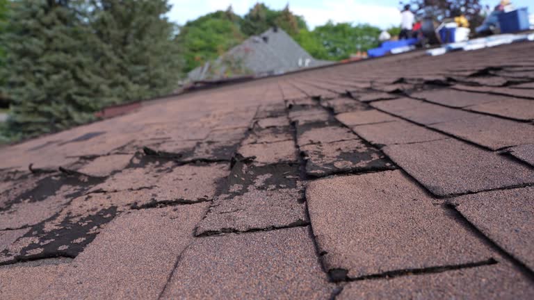 Best Wood Shake Roofing  in Martinez, CA